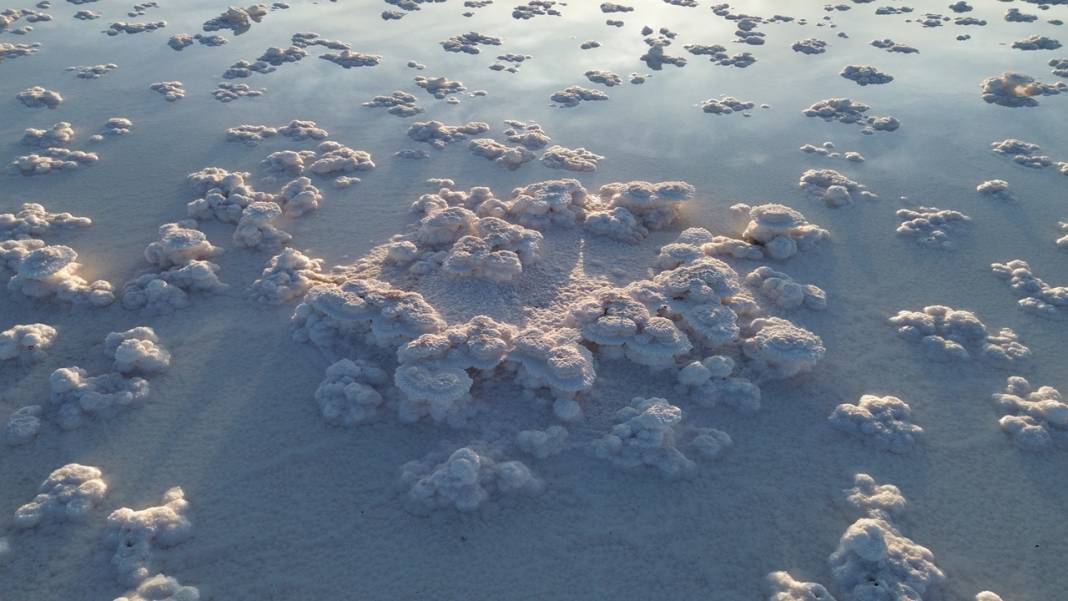 Sosyal medyada gören geliyor! Tuz Gölü'nde ortaya çıktı 2